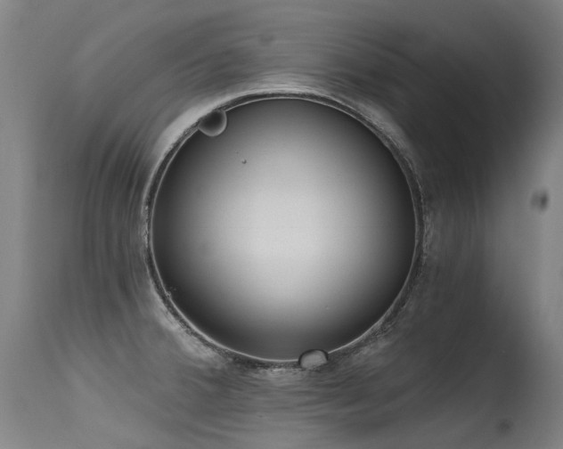 X0000115651380200911101529