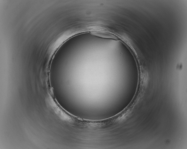X0000115651381200911101529
