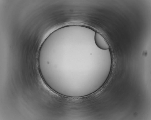 X0000115651382200911101529