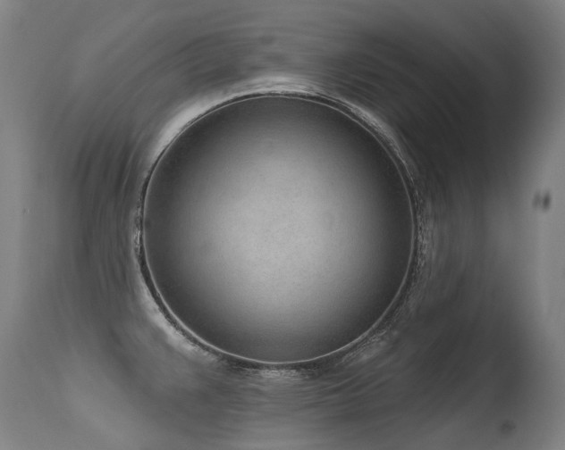 X0000115651383200911101529