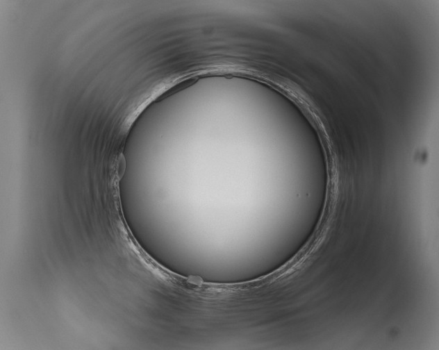 X0000115651385200911101529