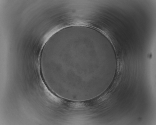 X0000115651387200911101529