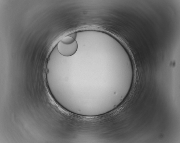 X0000115651390200911101529