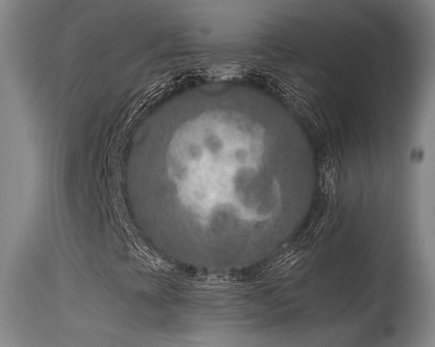 X0000115651393200911101529
