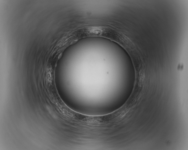 X0000115651394200911101529