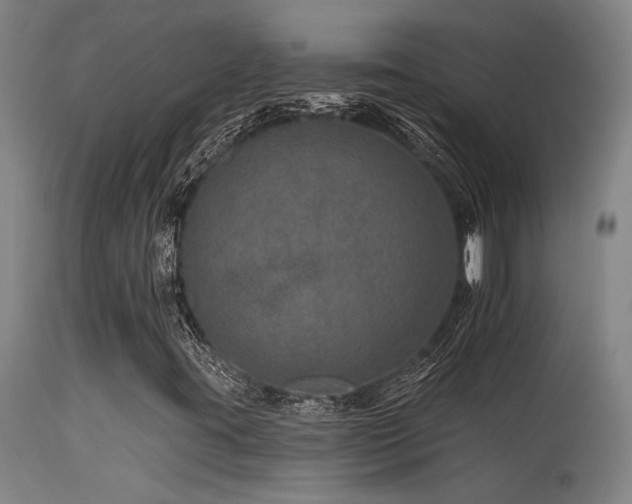 X0000115651395200911101529