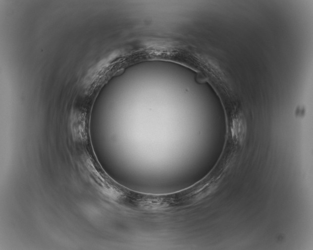 X0000115651396200911101529