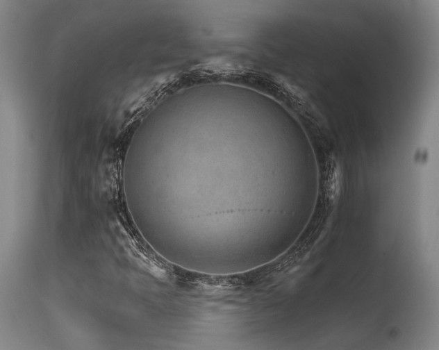X0000115651397200911101529