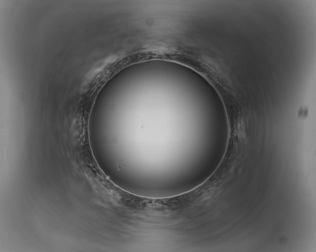 X0000115651398200911101529