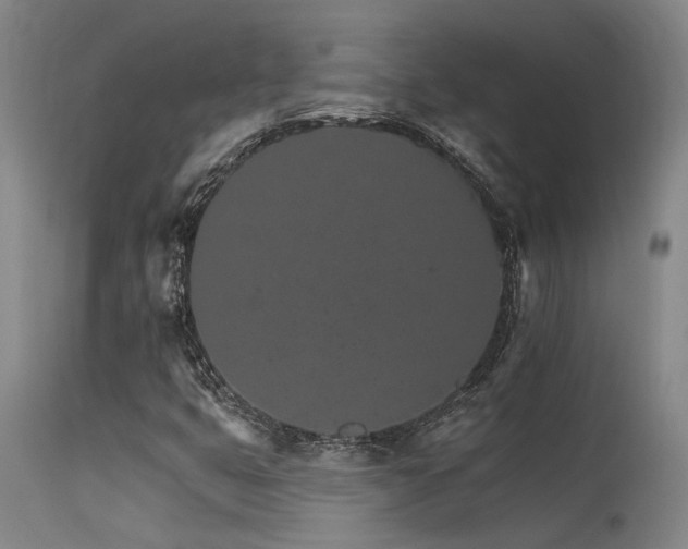 X0000115651399200911101529