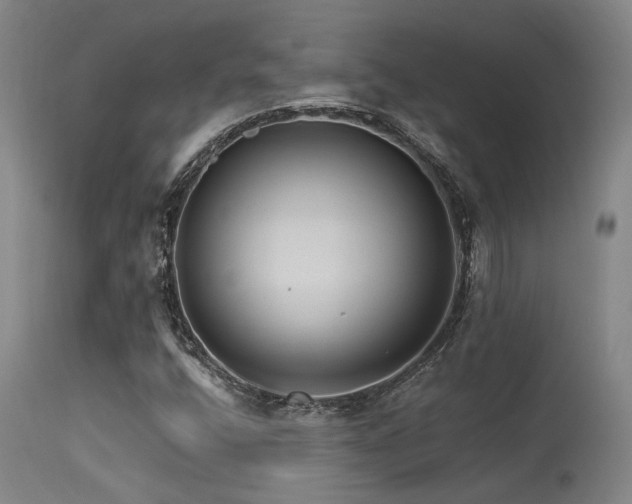 X0000115651400200911101529