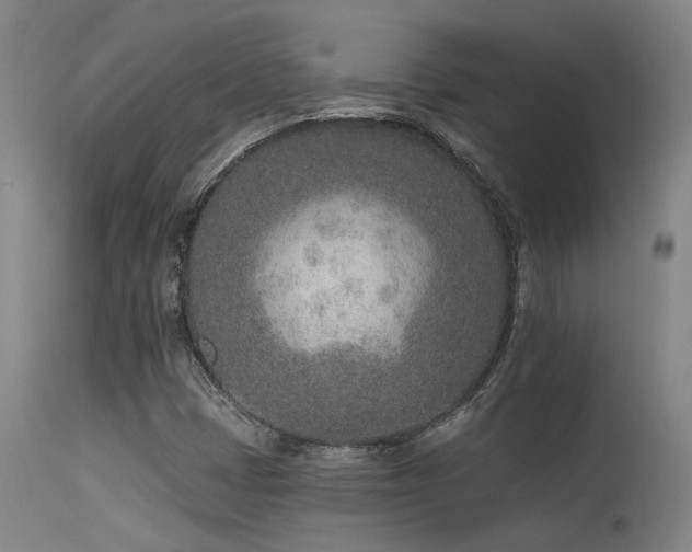 X0000115651401200911101529