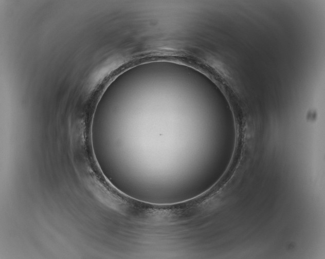 X0000115651402200911101529