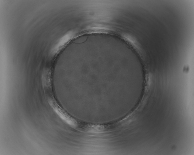 X0000115651403200911101529