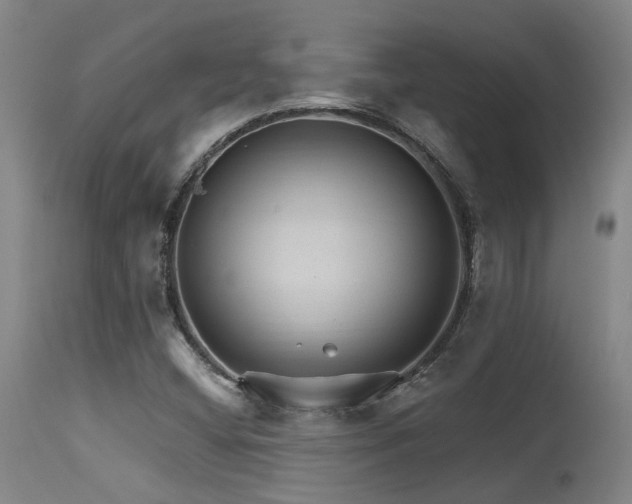 X0000115651404200911101529