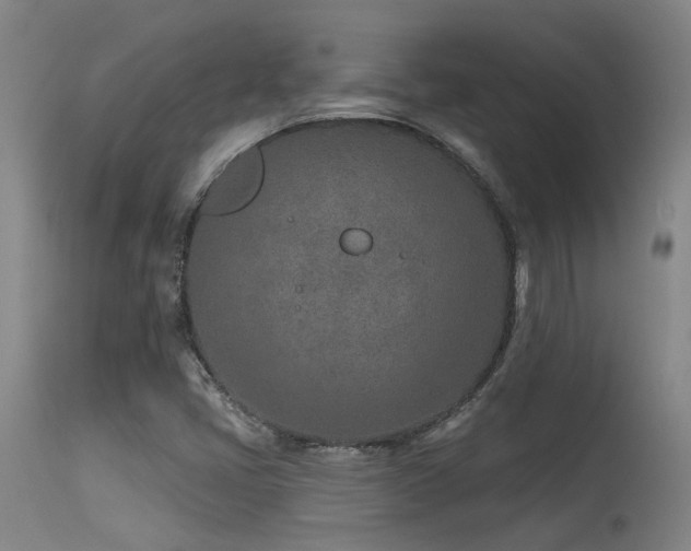 X0000115651405200911101529