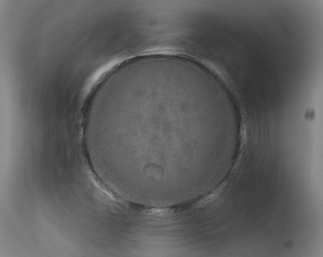 X0000115651406200911101529