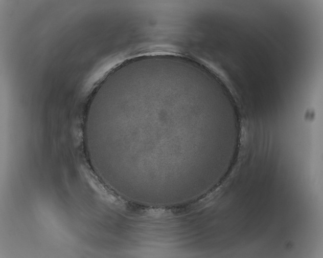 X0000115651407200911101529