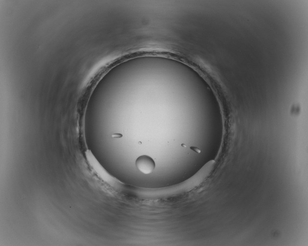 X0000115651408200911101529