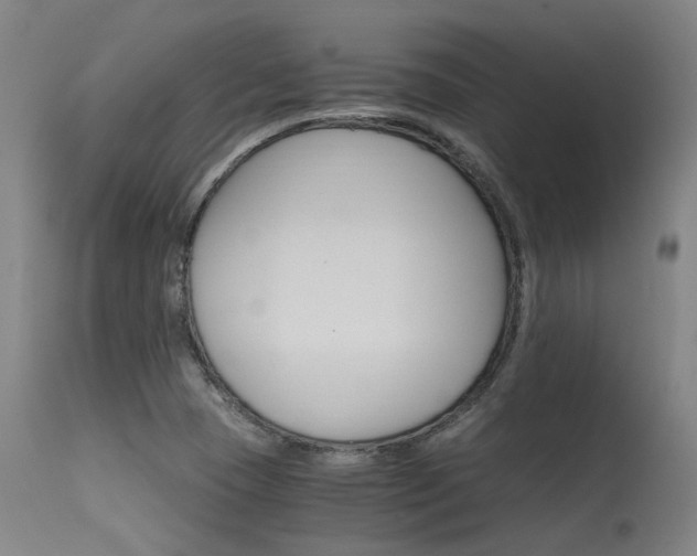 X0000115651409200911101529