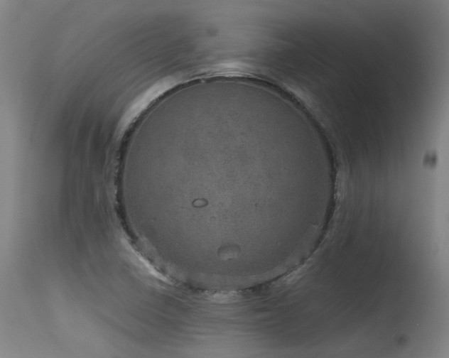 X0000115651410200911101529