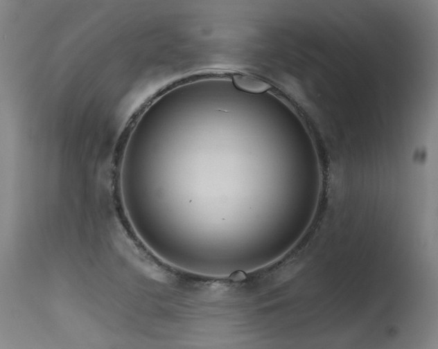 X0000115651412200911101529