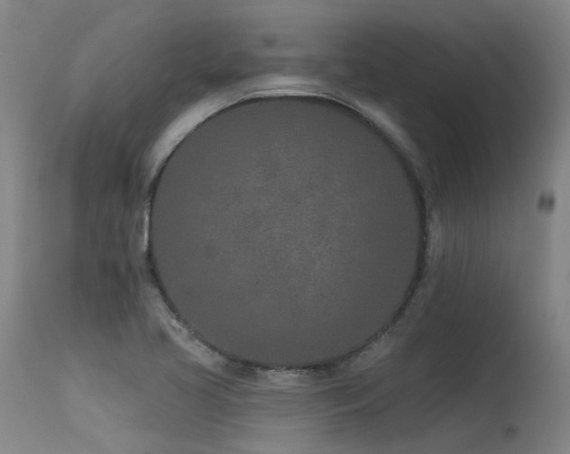 X0000115651413200911101529