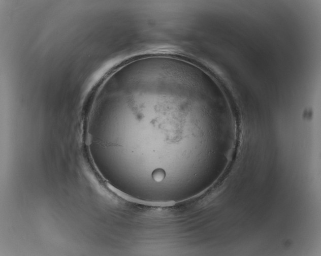 X0000115651414200911101529