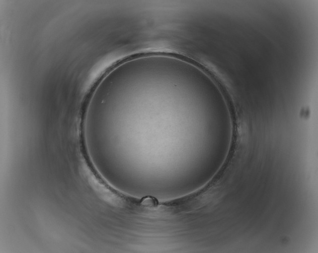 X0000115651416200911101529