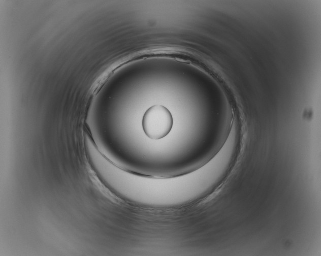 X0000115651417200911101529