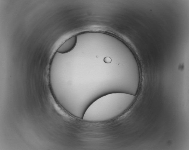 X0000115651421200911101529
