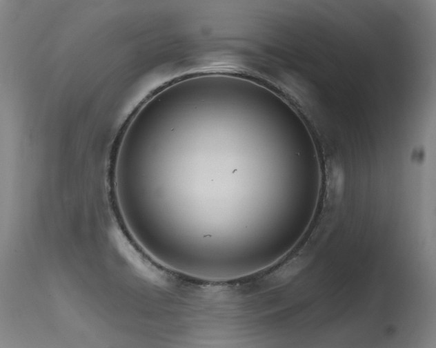 X0000115651422200911101529