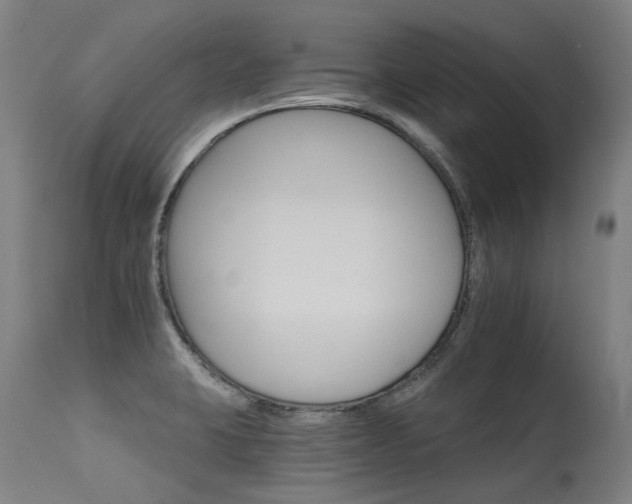 X0000115651423200911101529
