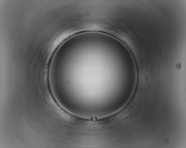 X0000115651424200911101529