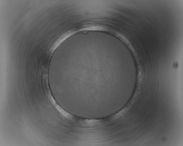 X0000115651425200911101529