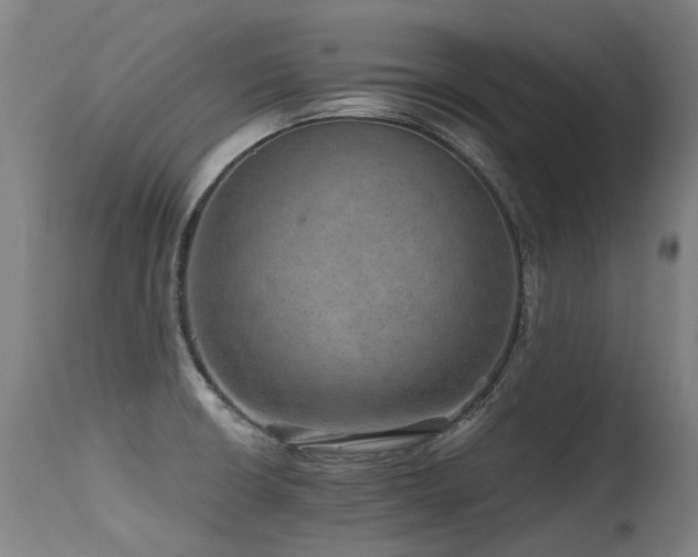 X0000115651426200911101529