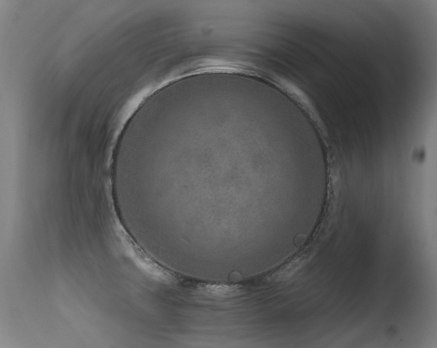 X0000115651427200911101529