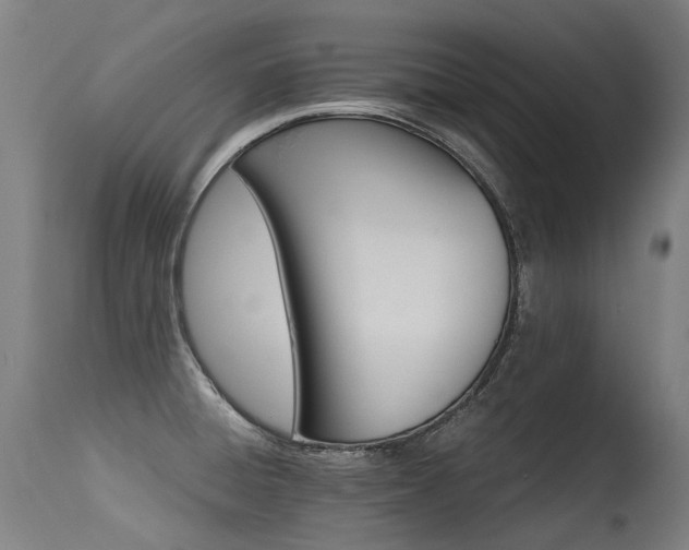 X0000115651428200911101529