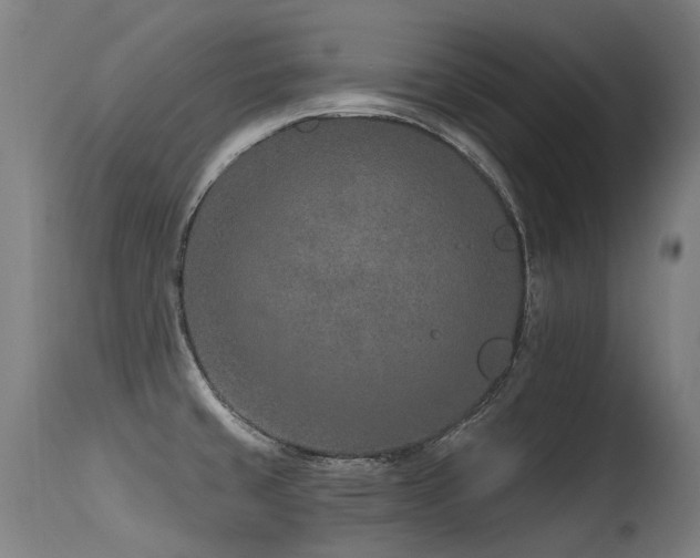 X0000115651429200911101529