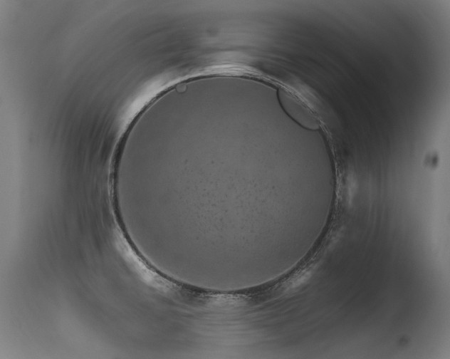 X0000115651430200911101529