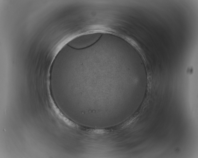 X0000115651431200911101529