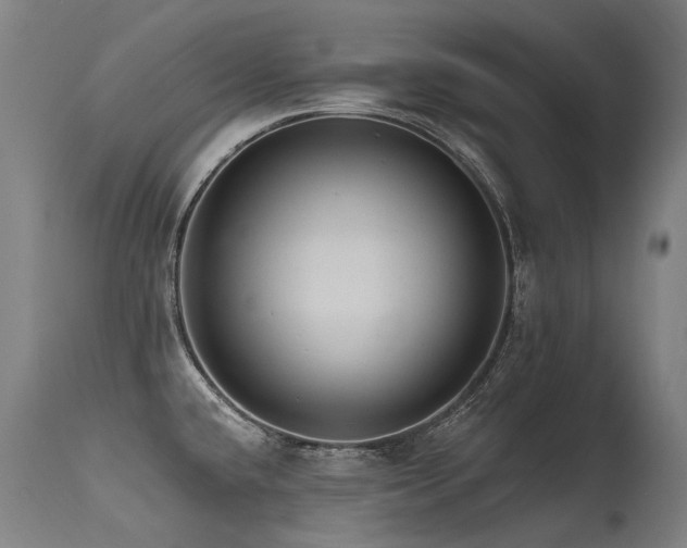 X0000115651432200911101529