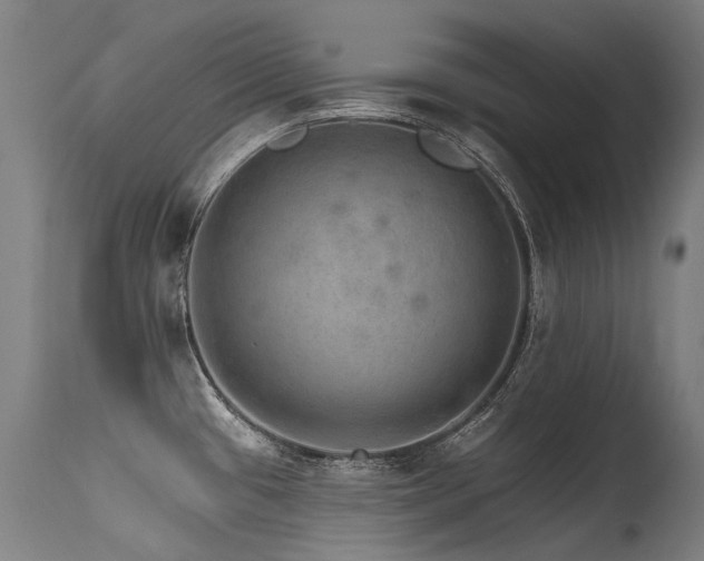 X0000115651433200911101529