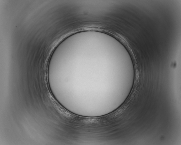 X0000115651435200911101529