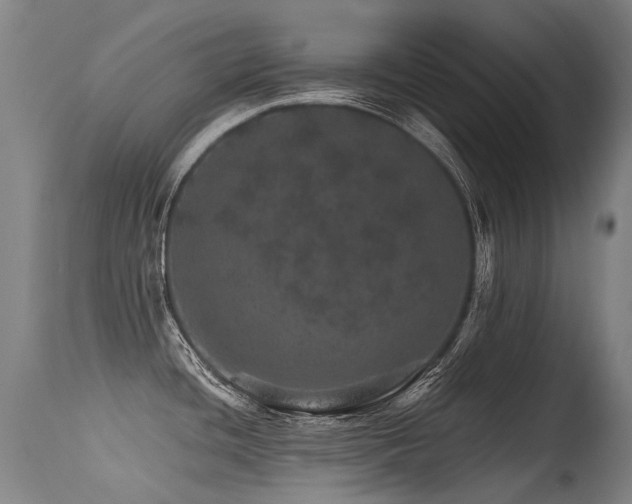 X0000115651436200911101529