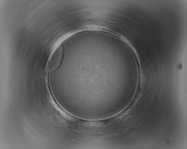 X0000115651437200911101529