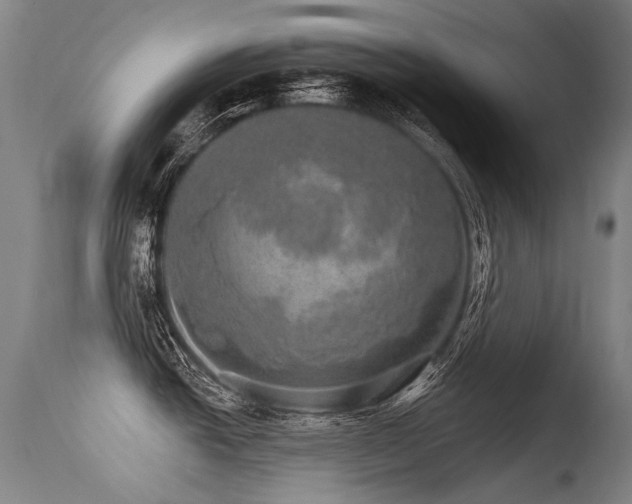 X0000115651438200911101529