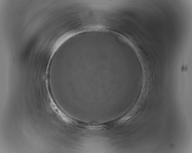 X0000115651440200911101529