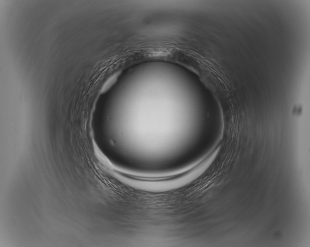 X0000115651441200911101529