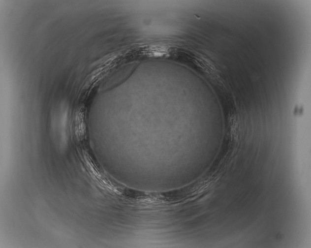 X0000115651442200911101529